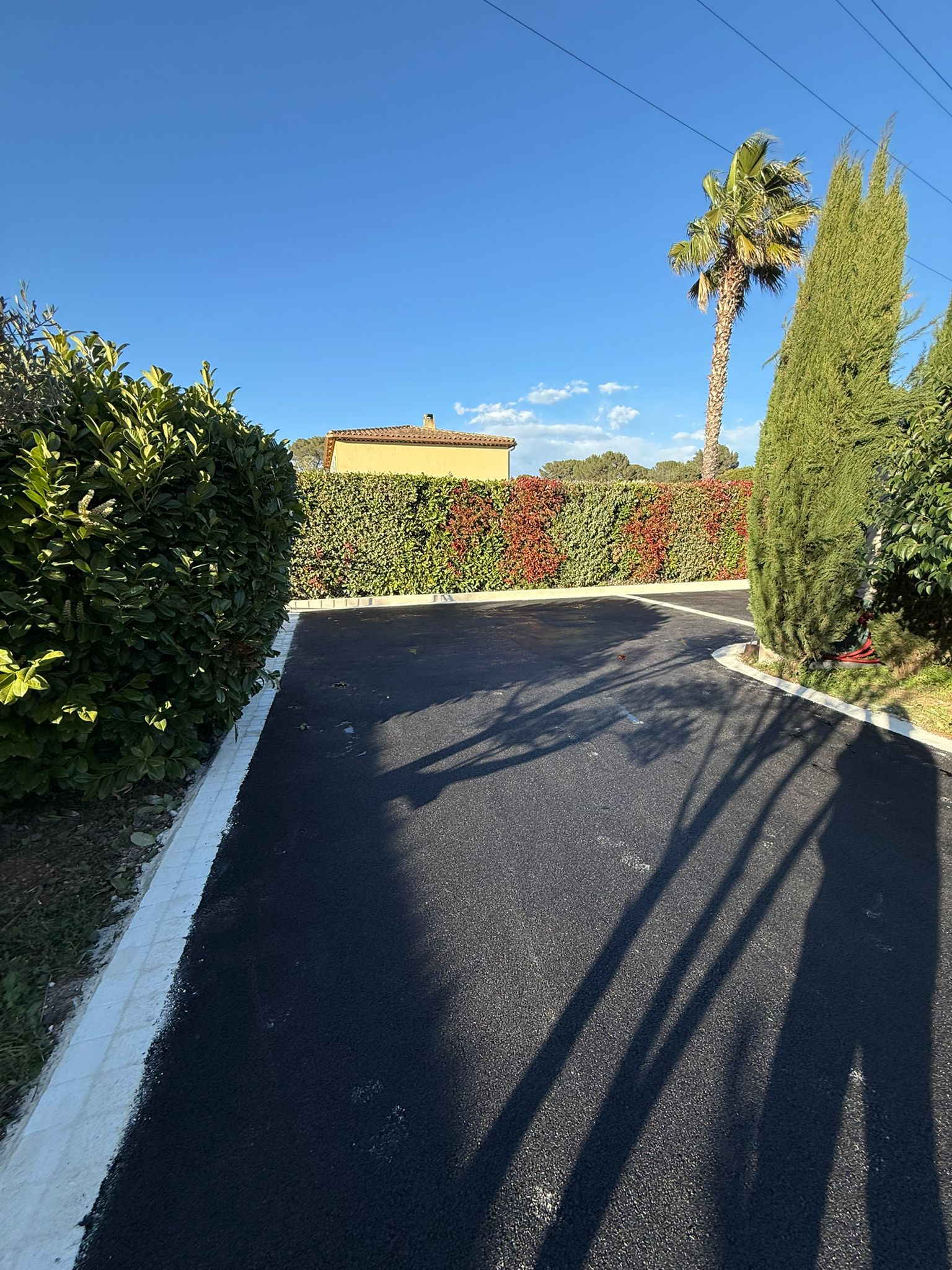 Allée de villa en enrobé noir avec palmier, cyprès et bordures blanches