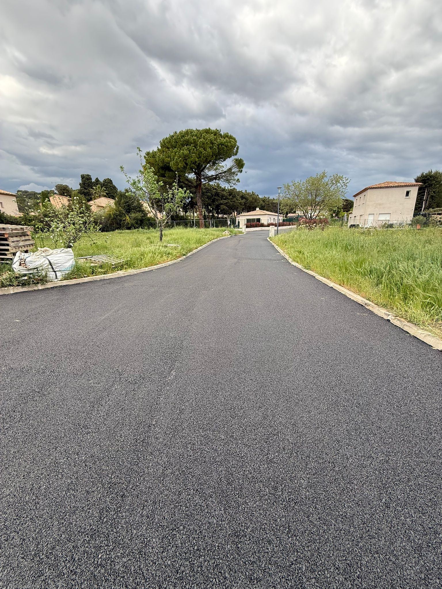 Voie lotissement neuf enrobé noir pin parasol bordures béton