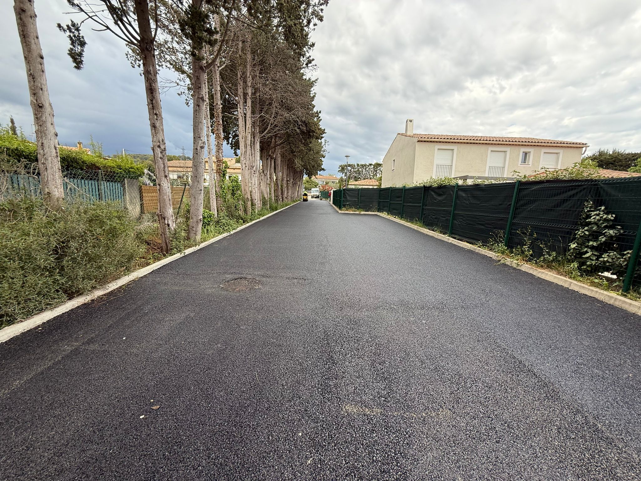 Voie privée enrobé noir allée cyprès clôture verte